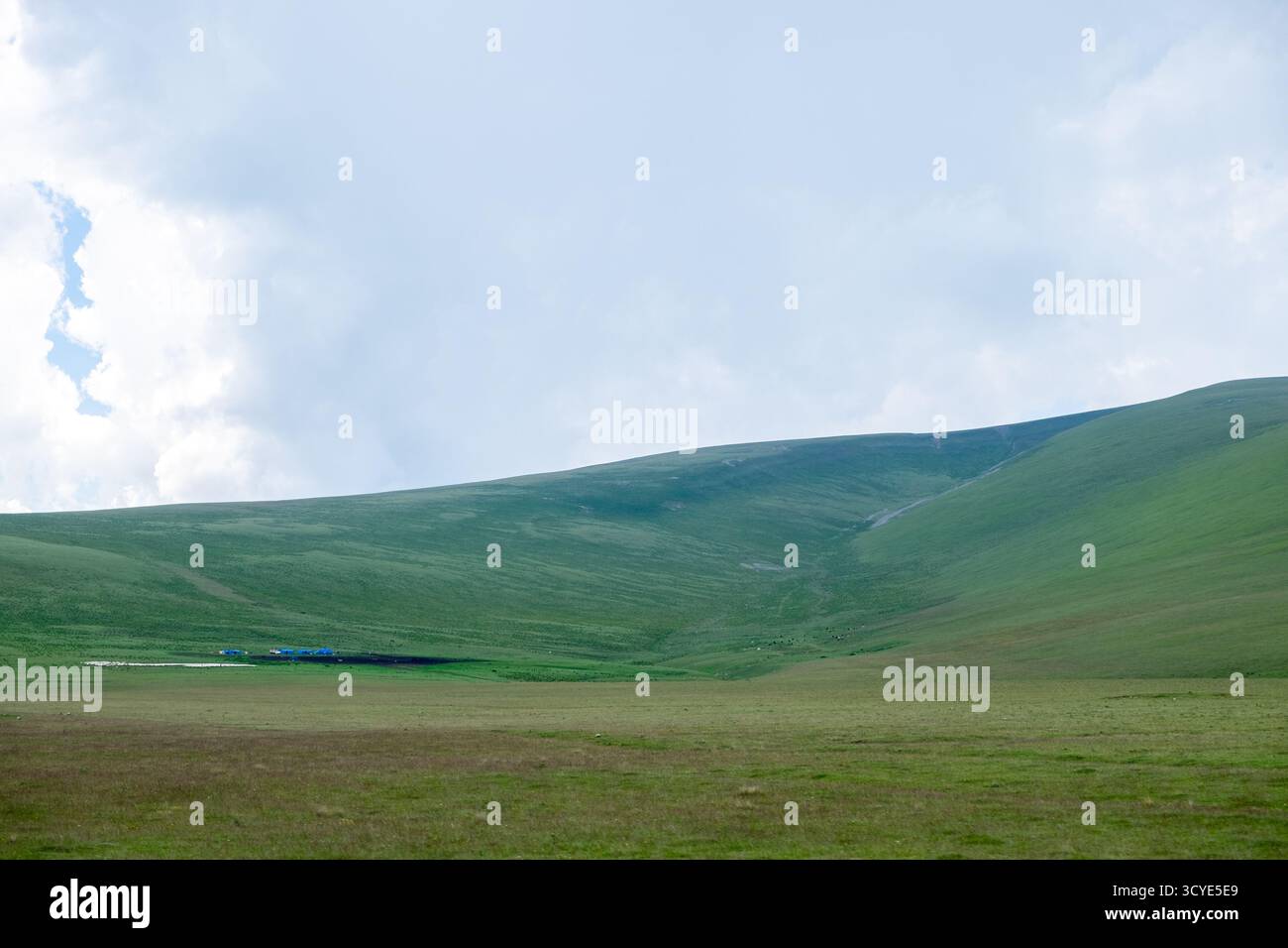 Weite Steppenlandschaft mit grünen Feldern, fernen Bergen und einem kleinen Dorf, das im Hintergrund zu sehen ist. Javakheti, Georgien. 18. Juli 2020. Stockfoto