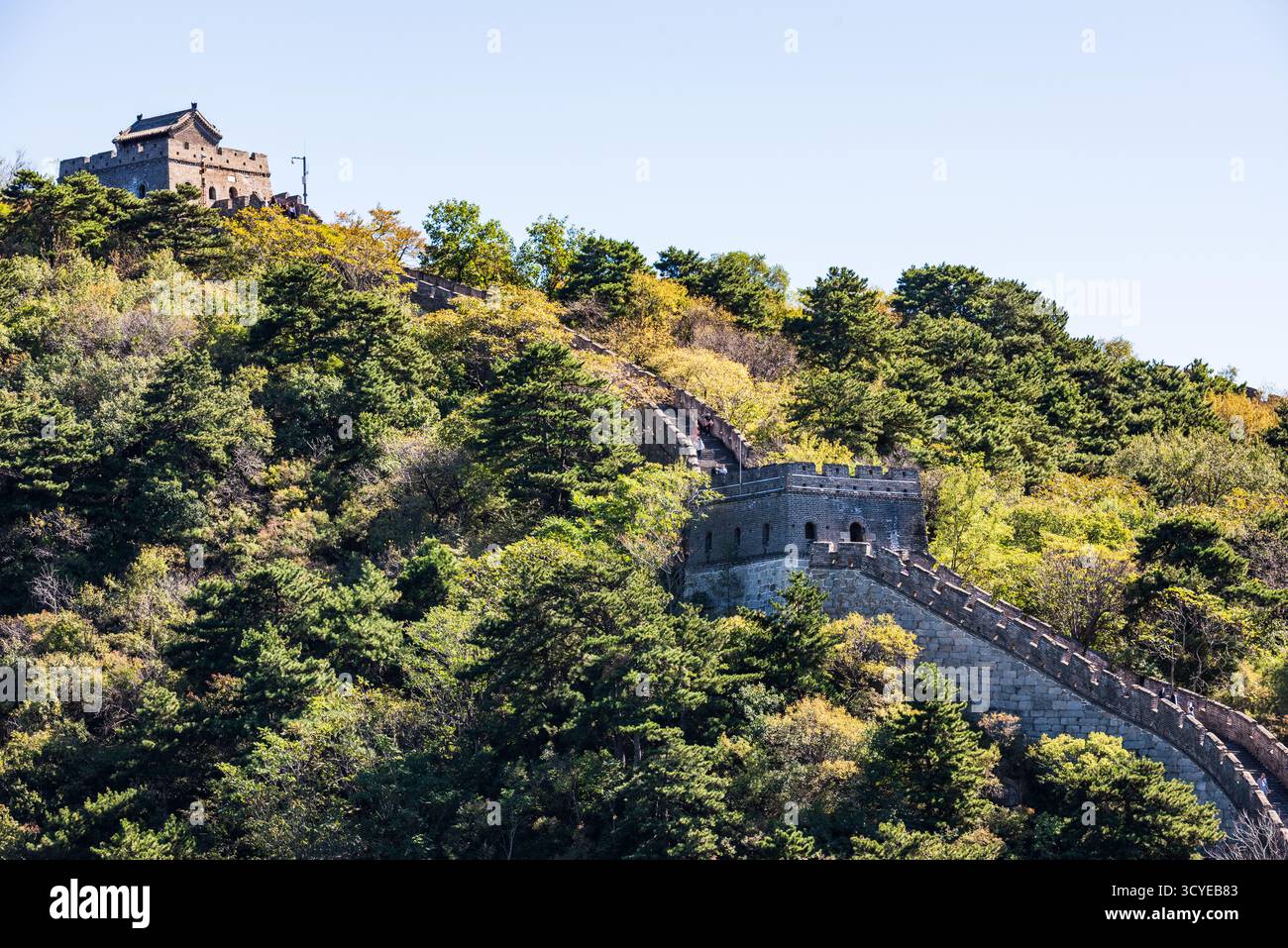Peking, China - 5. Oktober 2018: Chinesische Mauer Mutianyu, ein gut erhaltener und beliebter Abschnitt der Chinesischen Mauer, bekannt dafür, dass sie weniger überfüllt ist. Stockfoto