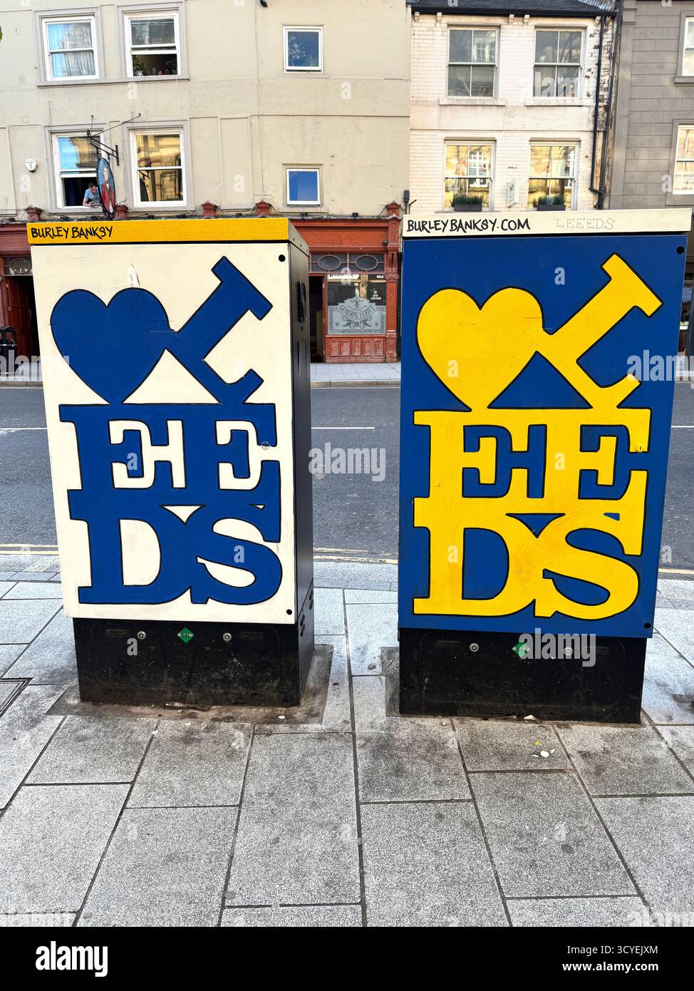 Leeds Vereinigte Kunstwerke auf zwei Wahlkästen auf der Headrow im Stadtzentrum von Leeds und gemalt von Andy McVeigh alias Burley Banksy Stockfoto