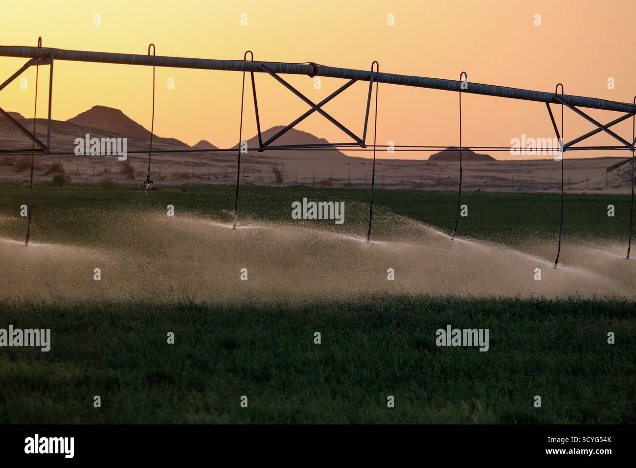 Modernes Bewässerungssystem im Feld Stockfoto