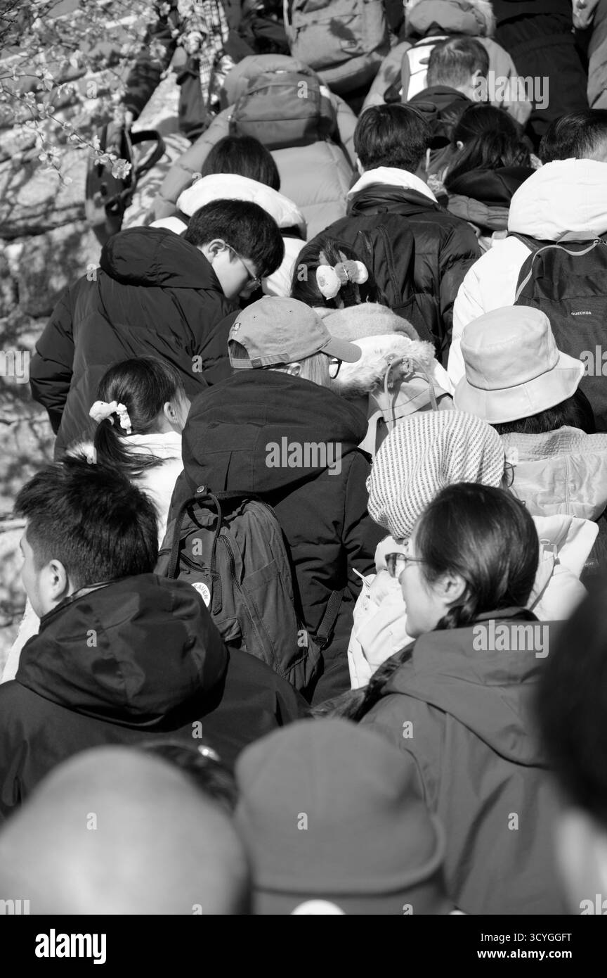 Eine dichte Menschenmenge steigt die steilen, engen Stufen der Chinesischen Mauer von Mutianyu im Norden Pekings hinauf Stockfoto