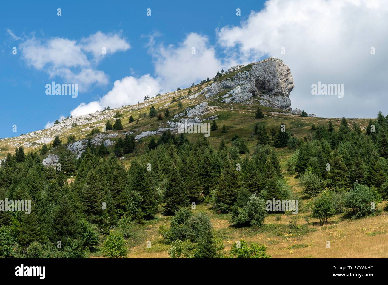 Pic Saint-Michel, Vercors, Isère, Frankreich Stockfoto