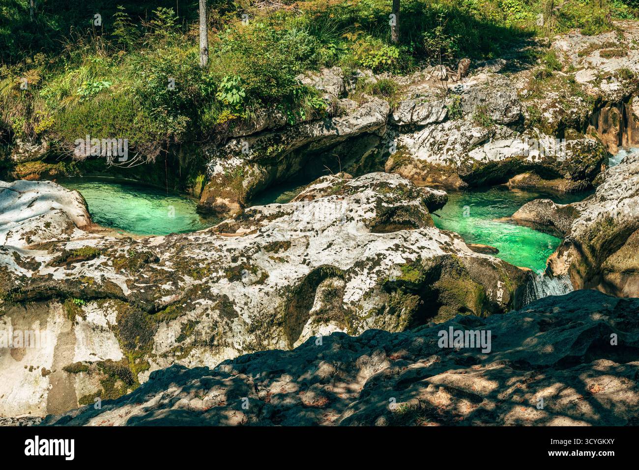 Schnell fließende Stromschnellen des Flusses Mostnica im Nationalpark Triglav, Slowenien, umgeben von unberührter alpiner Natur. Selektiver Fokus. Stockfoto