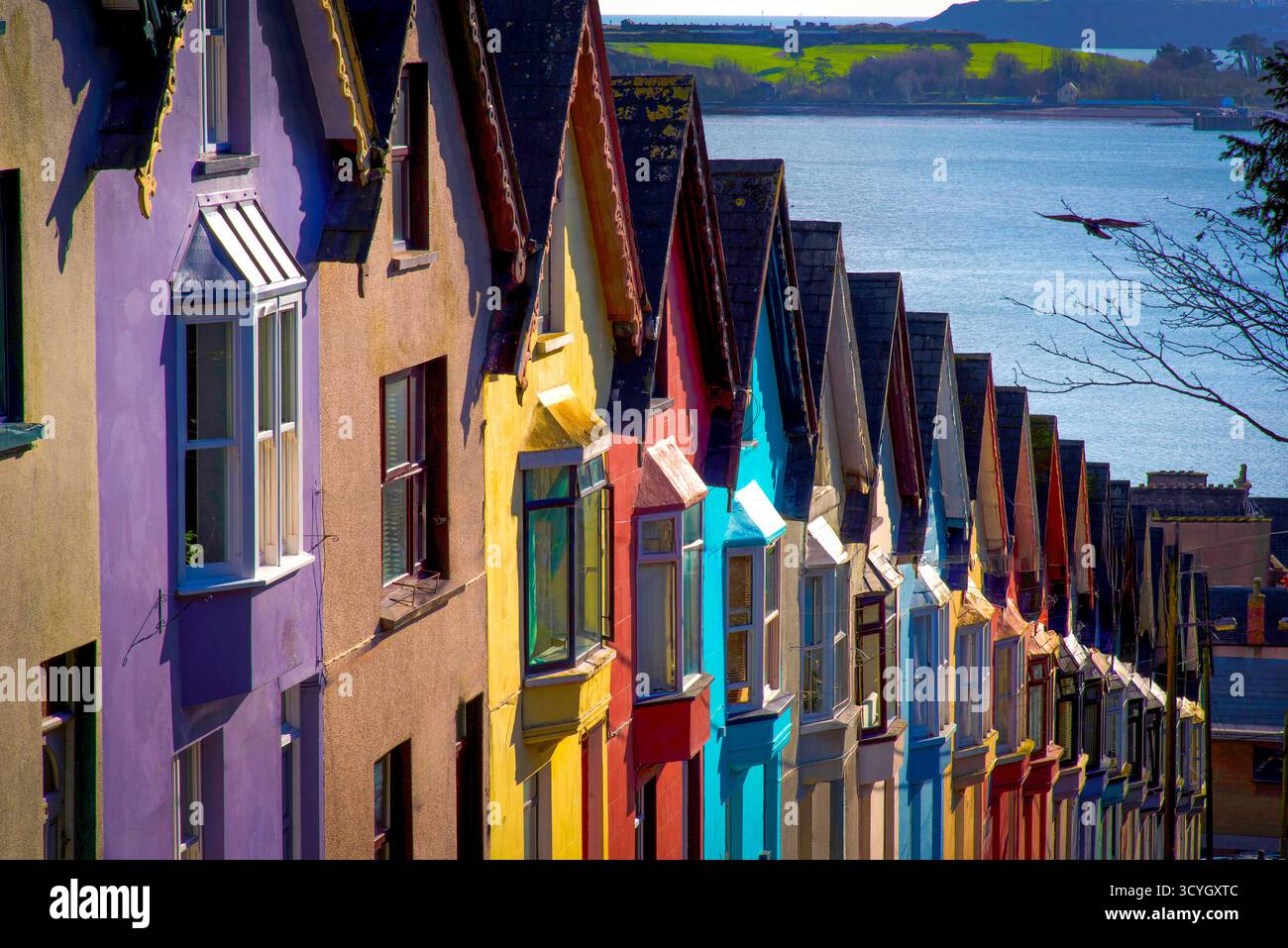 Farbige Häuser in Cobh, County Cork, Irland Stockfoto