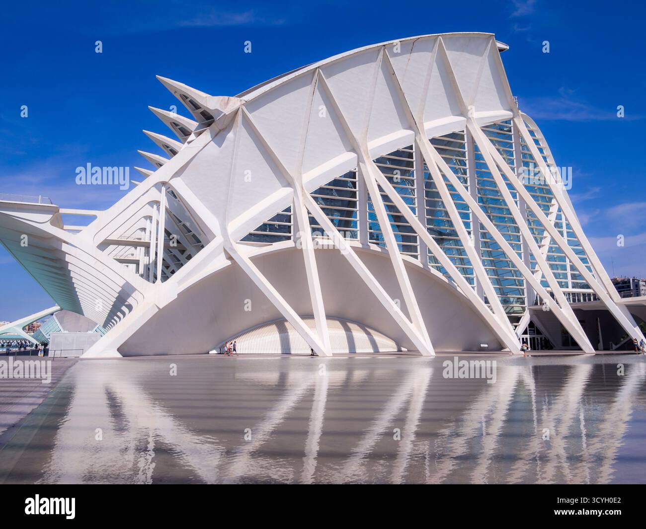 Museo de las Ciencias Príncipe Felipe (Ciudad de las Artes y las Ciencias). Valencia. Comunidad Valenciana. España Stockfoto Museo de las Ciencias Príncipe Felipe (Ciudad de las Artes y las Ciencias). Valencia. Comunidad Valenciana. España Stockfoto