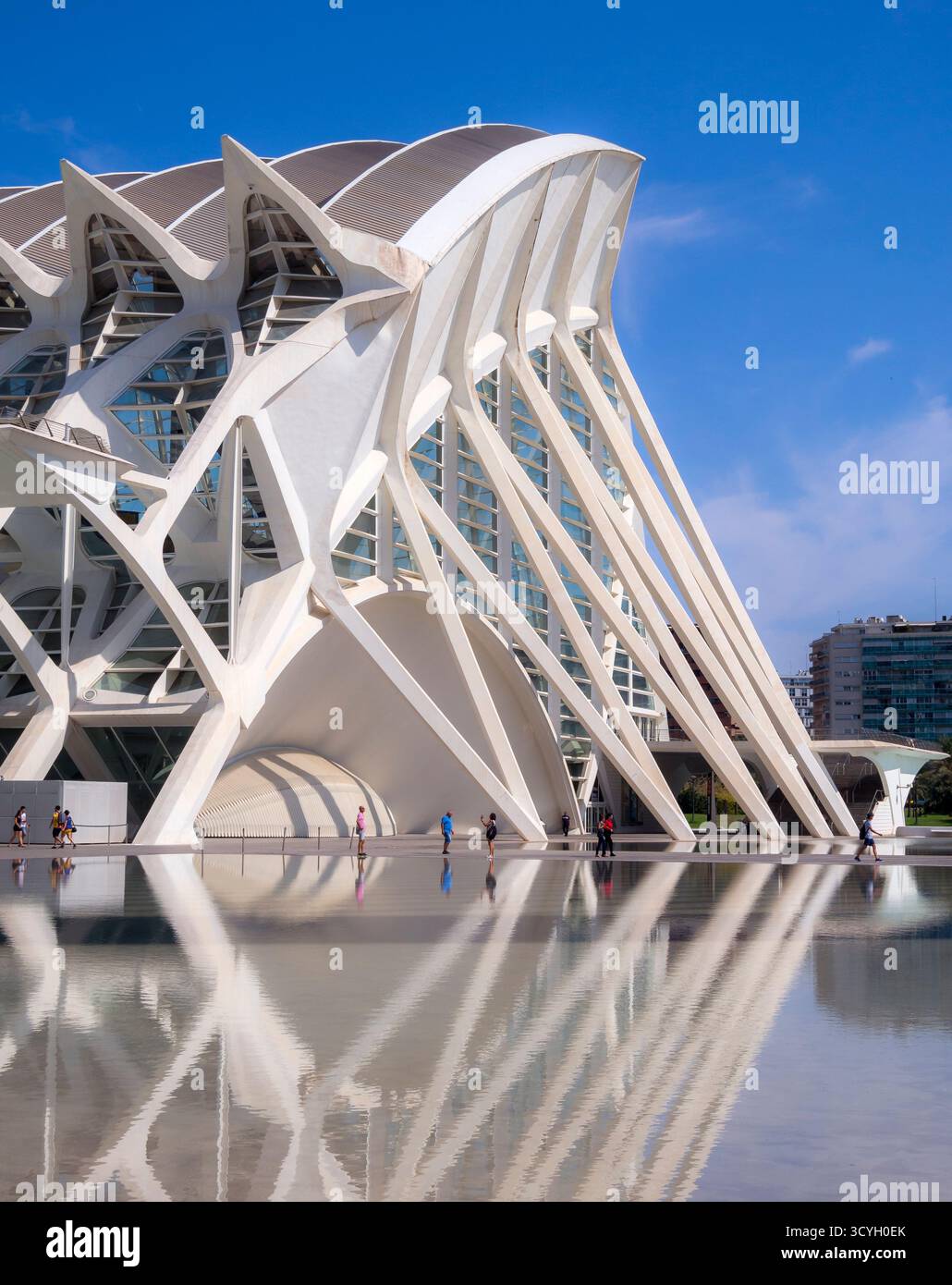 Museo de las Ciencias Príncipe Felipe (Ciudad de las Artes y las Ciencias). Valencia. Comunidad Valenciana. España Stockfoto Museo de las Ciencias Príncipe Felipe (Ciudad de las Artes y las Ciencias). Valencia. Comunidad Valenciana. España Stockfoto