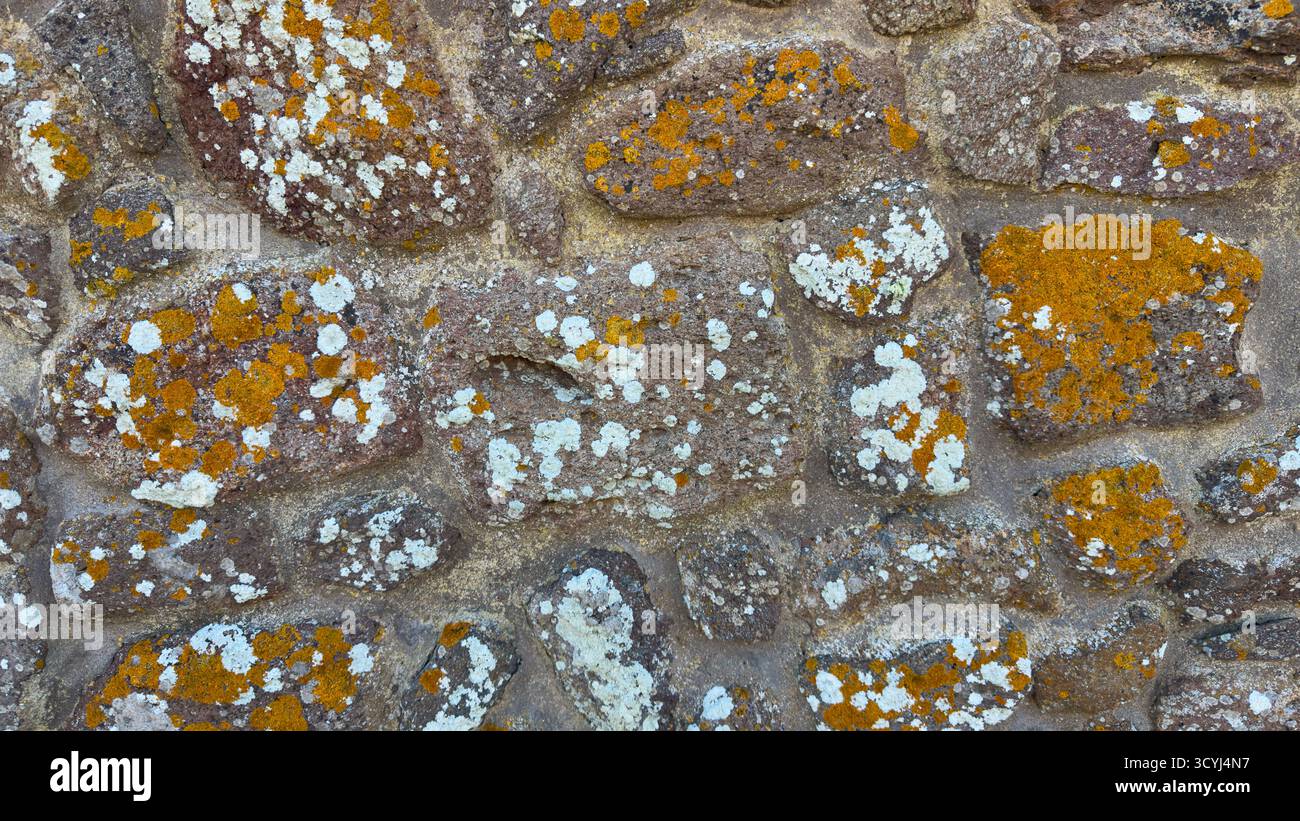 Nahaufnahme einer alten Steinmauer mit natürlichem gelbem und weißem Flechtenwuchs, der organische Textur schafft. Stockfoto