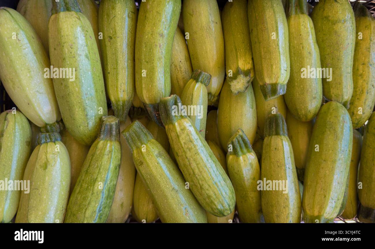 Nahaufnahme der frischen grünen Zucchinis, die ordentlich angeordnet sind und Textur und natürliche Farbe hervorheben. Stockfoto