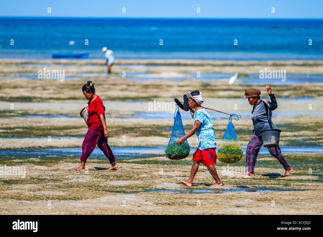 Drei Frauen gehen am Strand mit ihren Sammlungen. Flores, Indonesien. Stockfoto
