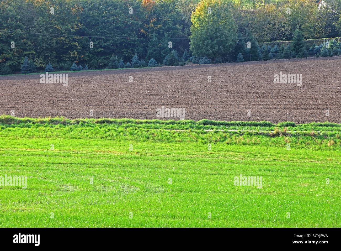 Ackerflächen ohne den nötigen Regen Ackerland und Futterweide während geringer Niederschlagsmengen im Herbst *** Ackerflächen ohne die notwendigen Niederschläge Ackerland und Futterweide bei geringen Niederschlägen im Herbst Stockfoto