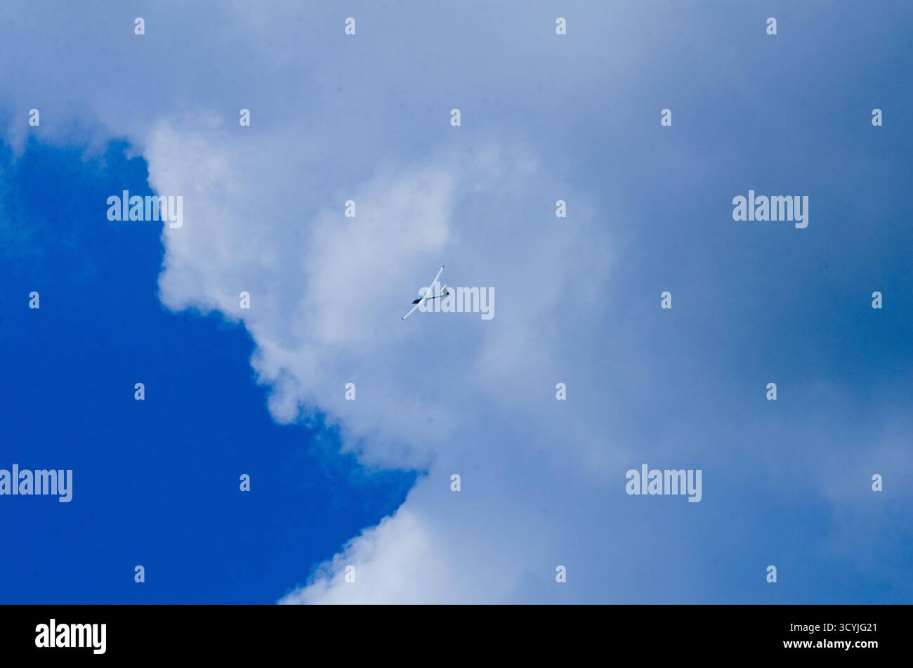 Ein Segelflugzeug im Flug über Bedfordshire England Großbritannien Stockfoto