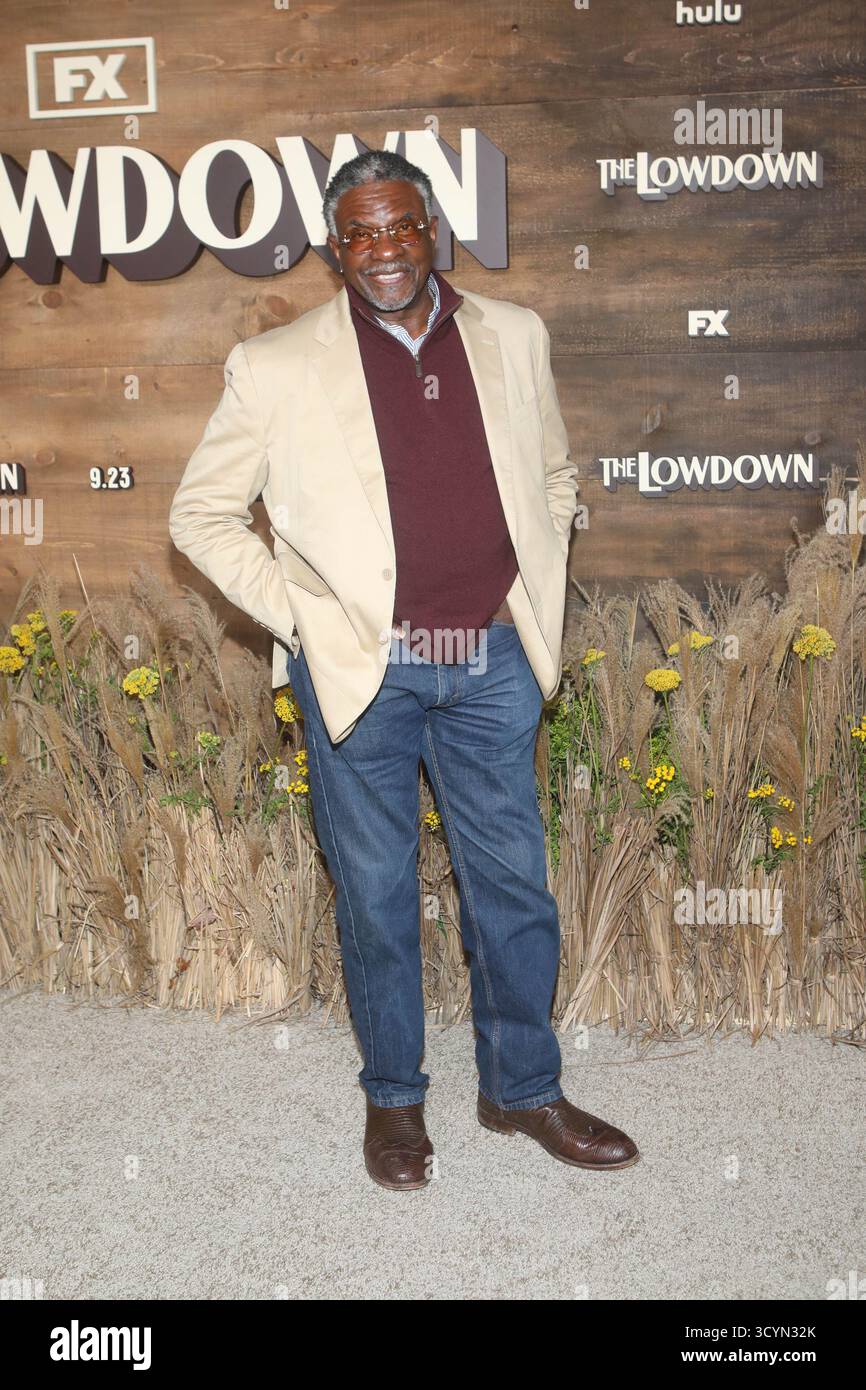 Red Carpet Event für die Premiere von FX’s The Lowdown in der Brooklyn Academy of Music mit: Keith David Where: New York, New York, United States Wann: 17 Sep 2025 Credit: Udo Salters/WENN Stockfoto