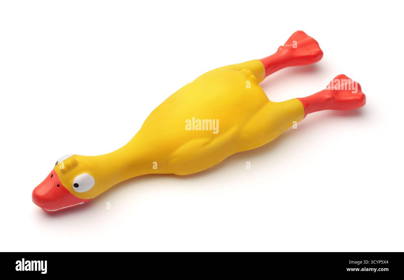 Lustige gelbe Gummispielzeug-Ente isoliert auf weiß Stockfoto