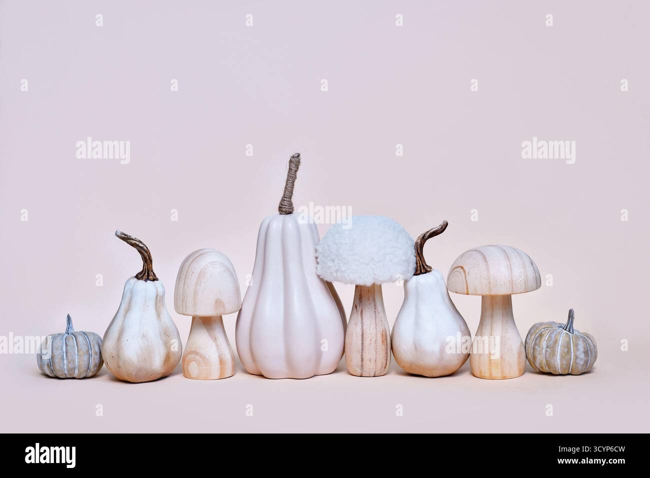 Dekorative Kürbis-, Pilz- und Eichelornamente auf beigefarbenem Hintergrund. Boho-Herbstkomposition Stockfoto