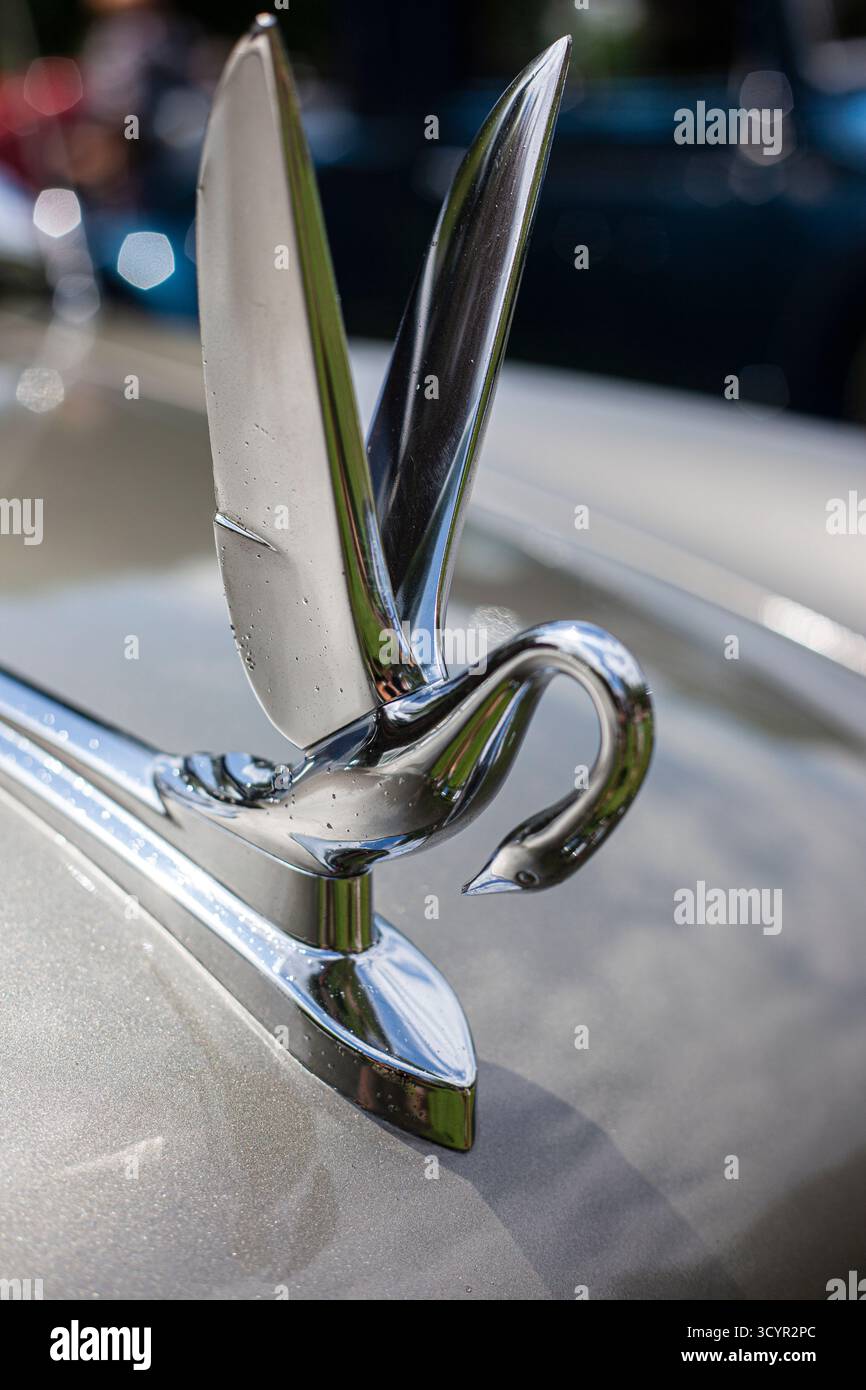 Chrom-Autohaubenschmuck eines Schwans Stockfoto