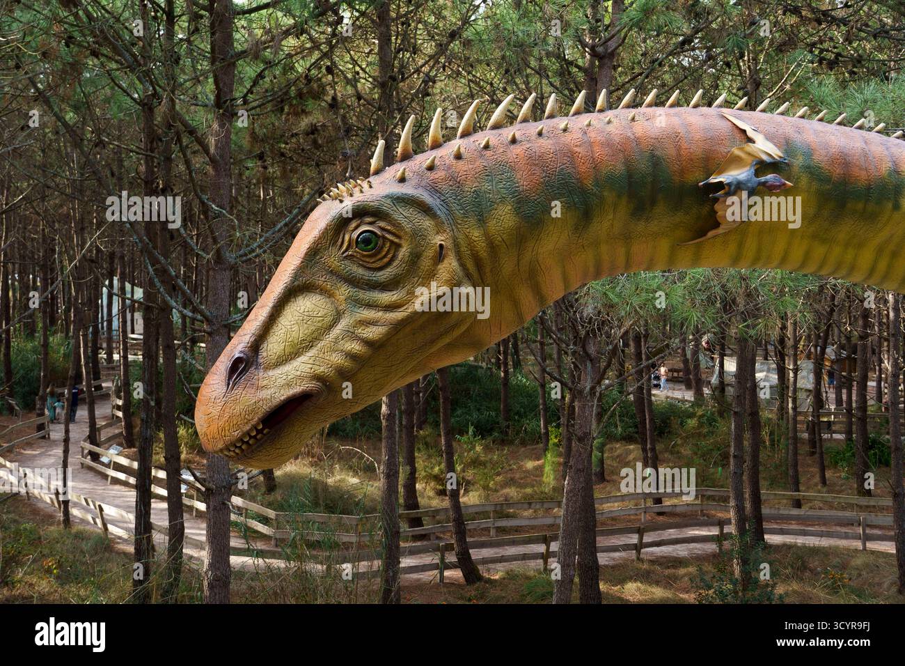Im Freizeitpark Dino Parque in Lourinhã, Portugal, Europa, spazieren Besucher an einem großen Supersaurus-Modell vorbei Stockfoto