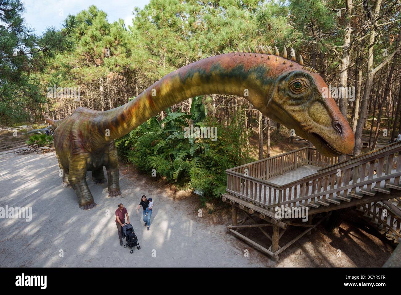 Im Freizeitpark Dino Parque in Lourinhã, Portugal, Europa, spazieren Besucher an einem großen Supersaurus-Modell vorbei Stockfoto