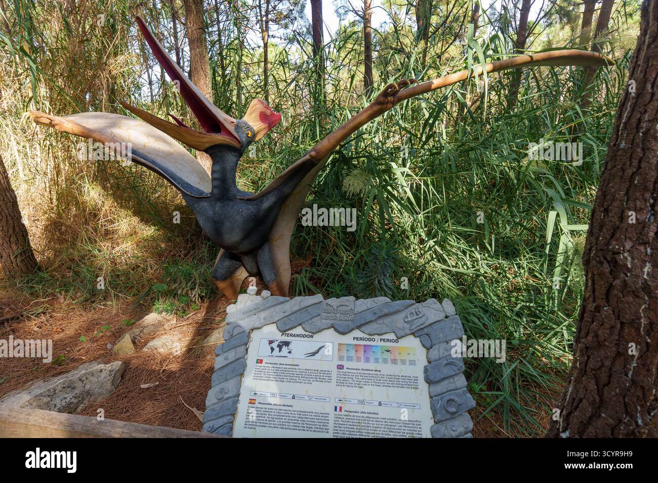 Eine große Pteranodon-Pterosaurier-Statue mit ausgebreiteten Flügeln in einem üppigen Wald, begleitet von einer informativen Tafel. Stockfoto
