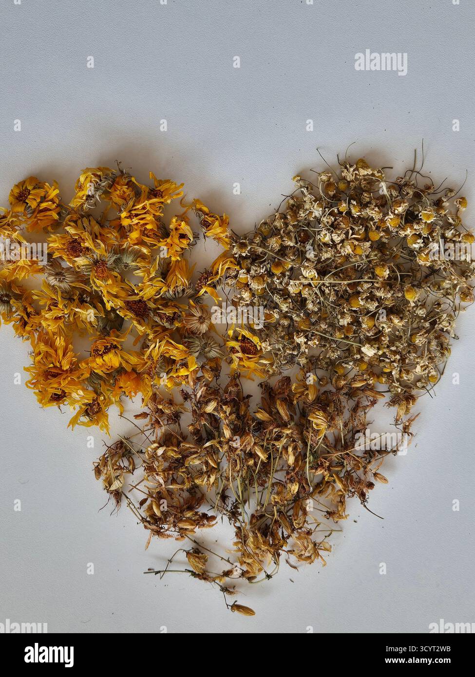 Kräuter sind in Form eines Herzens angelegt. Getrocknete Blüten von Kamille, Ringelblume und Johanniskraut auf weißem Hintergrund. - Smartphone-aufgenommenes Stockfoto