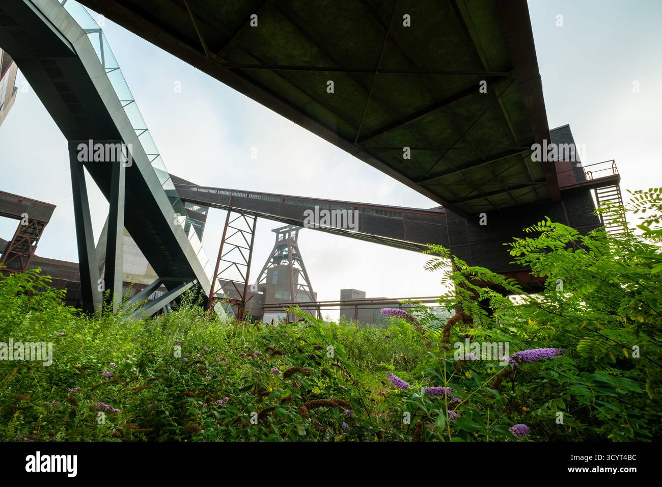 15.08.2025, Deutschland, Nordrhein-Westfalen, Essen - Förderturm von Schacht XII, Symbol des ehemaligen Kohlebergwerks Zollverein, heute UNESCO Weltherita Stockfoto