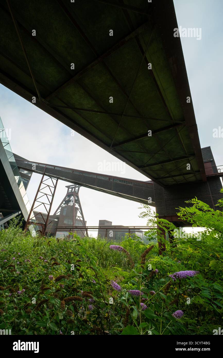 15.08.2025, Deutschland, Nordrhein-Westfalen, Essen - Förderturm von Schacht XII, Symbol des ehemaligen Kohlebergwerks Zollverein, heute UNESCO Weltherita Stockfoto
