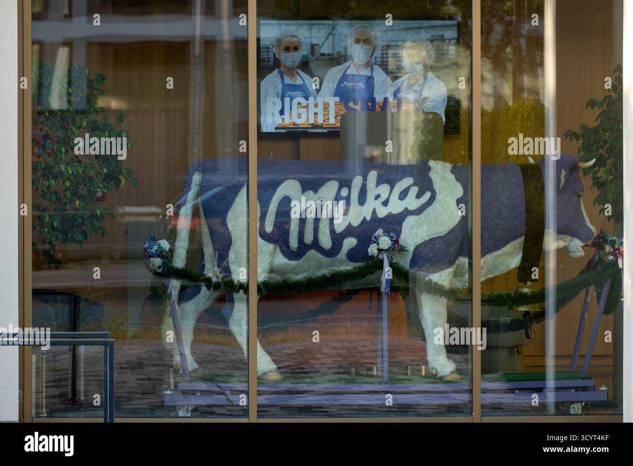 02.09.2025, Deutschland, Bremen, Bremen - Hauptsitz von Mondelez Deutschland, Teil von Mondelez International, Milka Kuh im Foyer. 00A250902D070CAROEX.JP Stockfoto