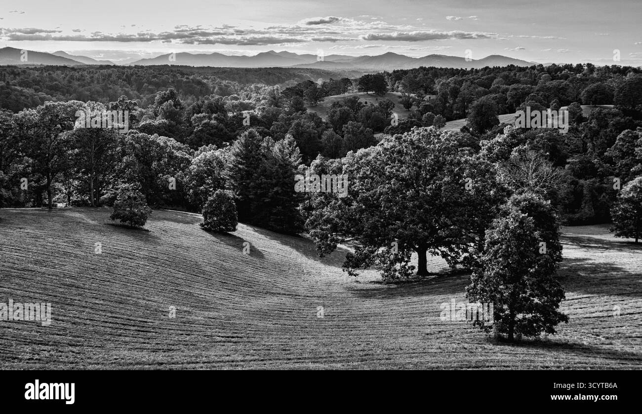 Der Blick von der Rückseite des Biltmore House in Asheville NC zeigt die Landschaftsarchitektur von Frederick Law Olmsted. Stockfoto