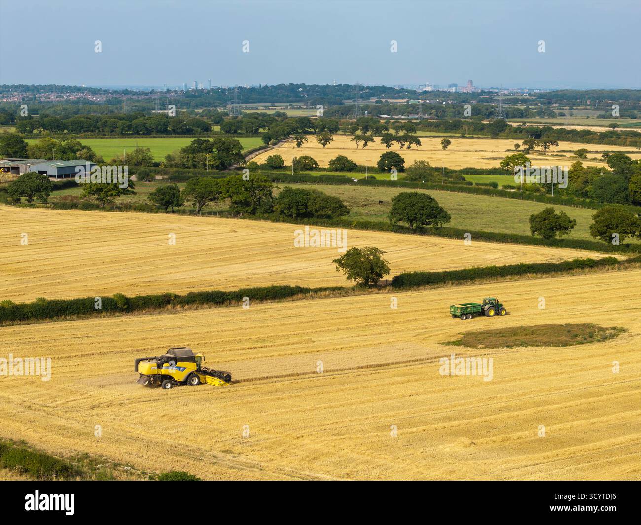 WIRRAL, MERSEYSIDE, ENGLAND - 12. AUGUST 2025: Luftaufnahme zeigt einen Mähdrescher, der durch ein goldenes Weizenfeld im ländlichen England fährt und eine schneidet Stockfoto