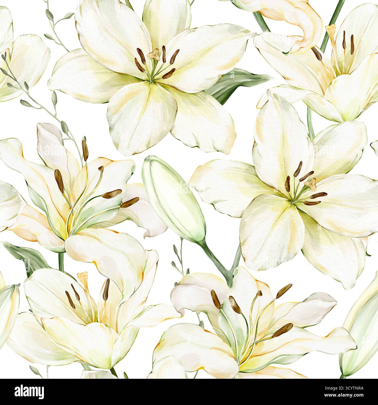 Nahtloses Blumenmuster in Aquarellfarben mit weißen Lilienblüten und Blättern. Handgezeichnete Abbildung. Ideal für Gewebe, Verpackungen und Geschenkpapier Stockfoto