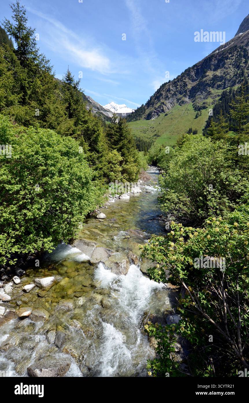 Mayrhofen, Österreich - kleiner Gebirgsbach mit klarem Wasser, im Hintergrund die Mauer des Stillup-Damms und schneebedeckte Gipfel der Zillertaler Alp Stockfoto