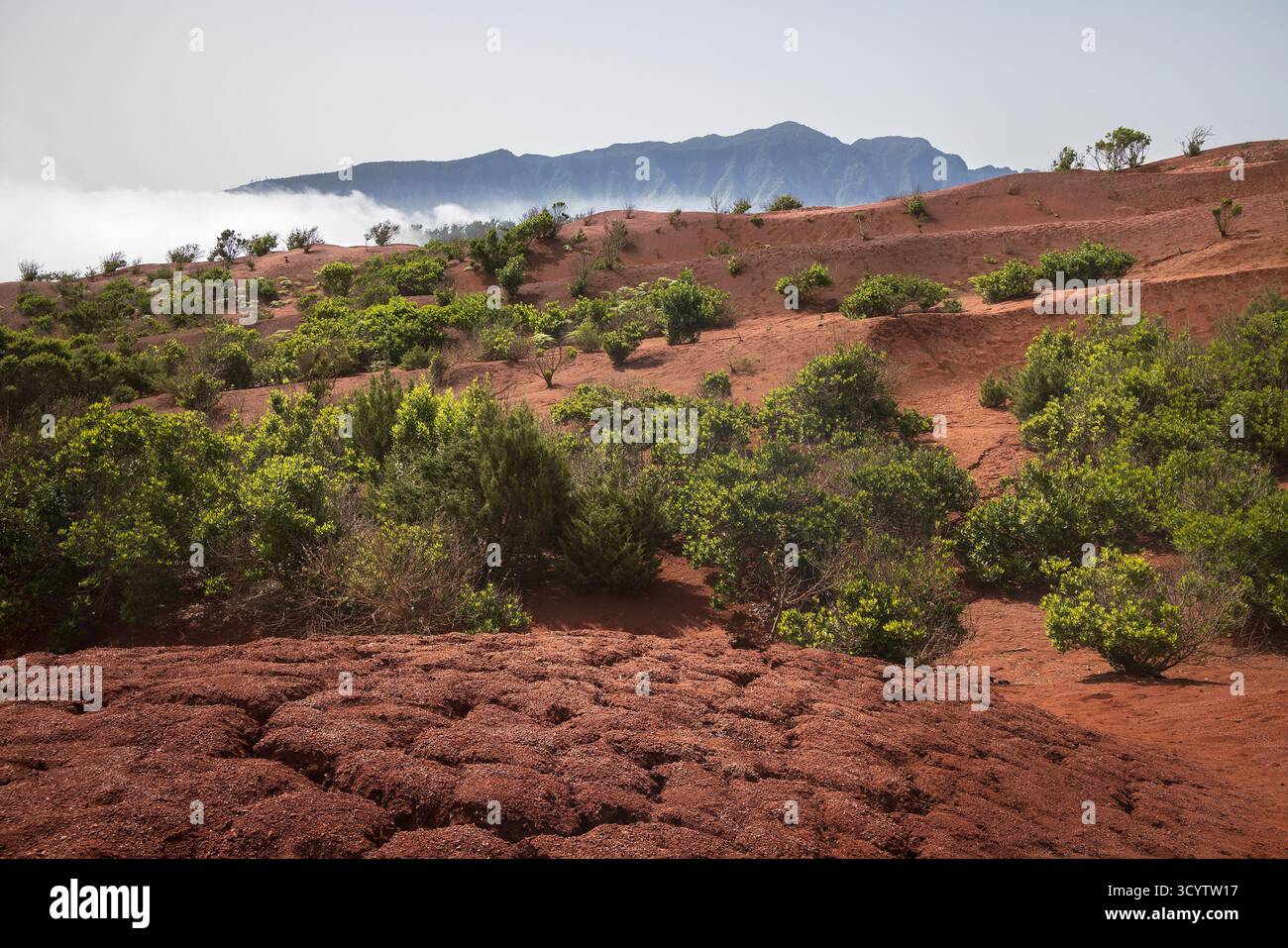 In Agulo, La Gomera, Spanien, steht die leuchtend grüne Vegetation im Kontrast zu erdrotem Boden unter einem klaren blauen Himmel Stockfoto