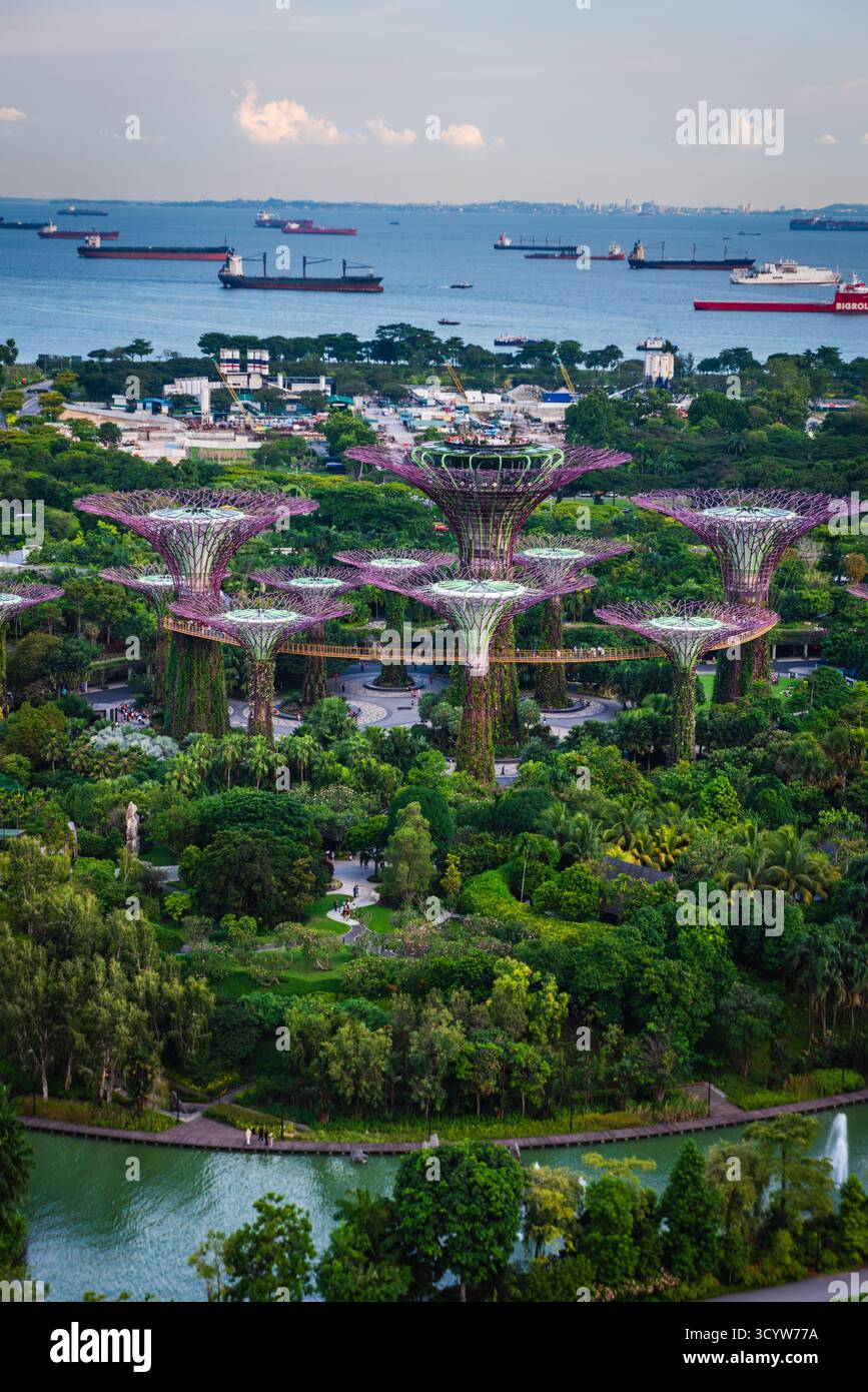 Singapur - 19. Oktober 2018: Massive Superbäume sind ein Höhepunkt der beliebten Touristenattraktion Garden by the Bay. Stockfoto