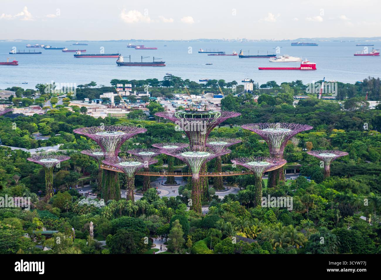 Singapur - 19. Oktober 2018: Massive Superbäume sind ein Höhepunkt der beliebten Touristenattraktion Garden by the Bay. Stockfoto