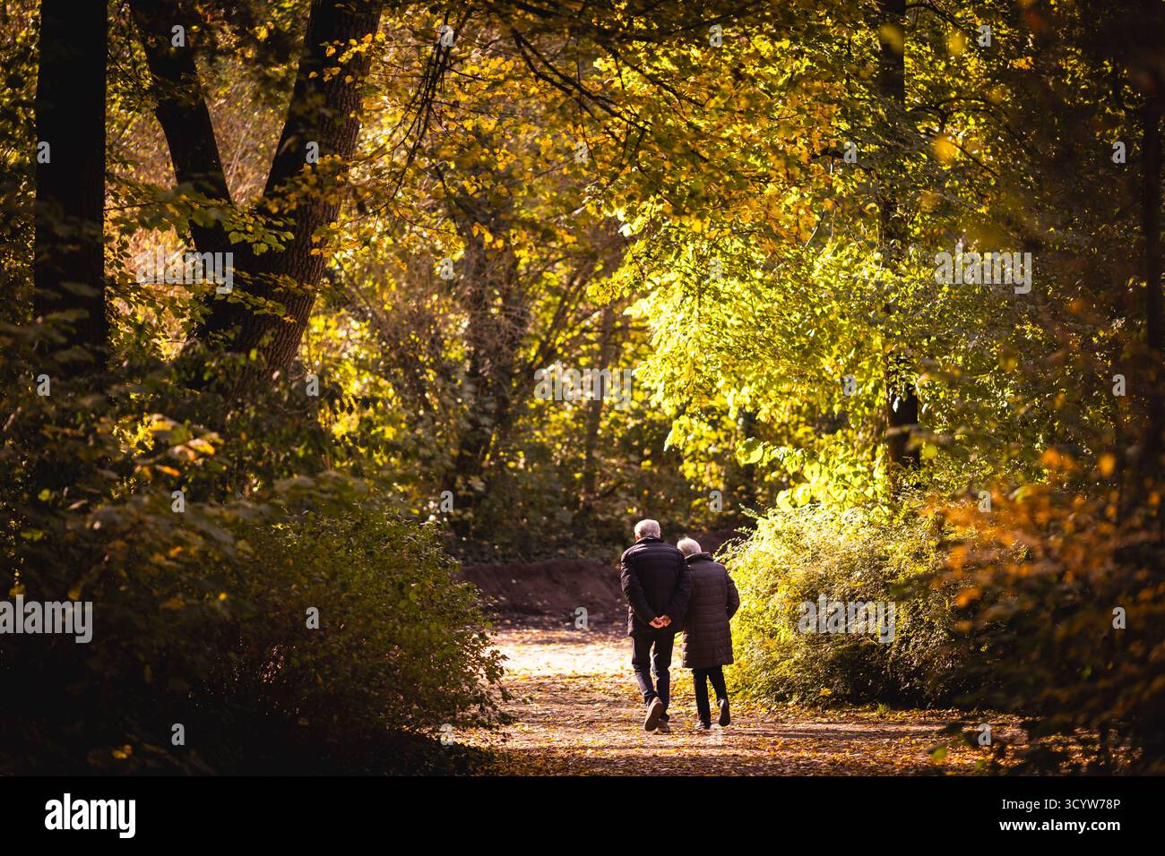 Berlin, Deutschland. Oktober 2025. Ein älterer Mann und eine Frau machen einen Spaziergang durch einen Park in der Morgensonne, fotografiert in Berlin, 20. Oktober 2025. Quelle: dpa/Alamy Live News Stockfoto