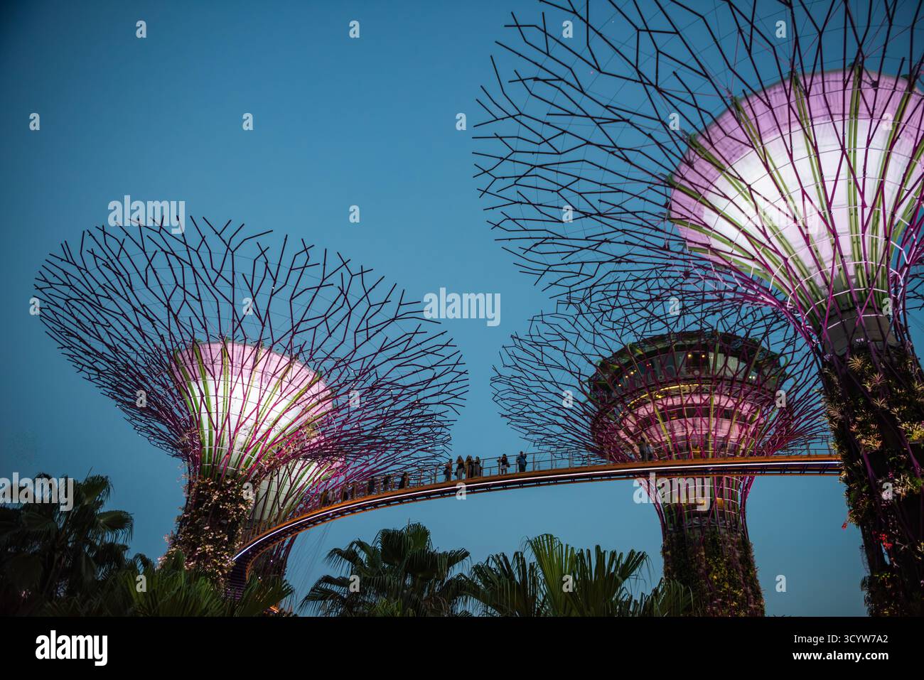 Singapur - 19. Oktober 2018: Massive Superbäume sind ein Höhepunkt der beliebten Touristenattraktion Garden by the Bay. Stockfoto
