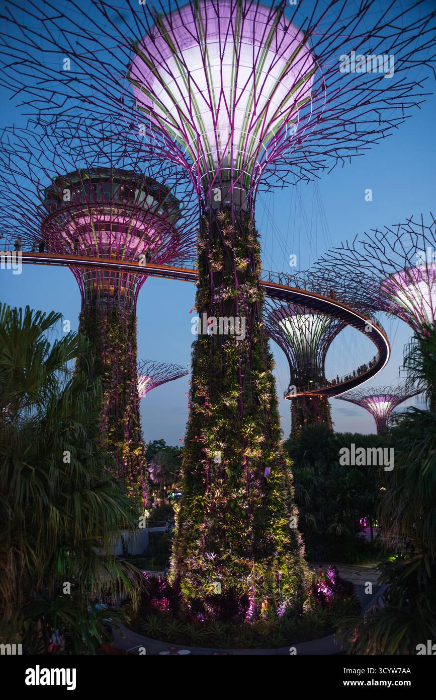 Singapur - 19. Oktober 2018: Massive Superbäume sind ein Höhepunkt der beliebten Touristenattraktion Garden by the Bay. Stockfoto