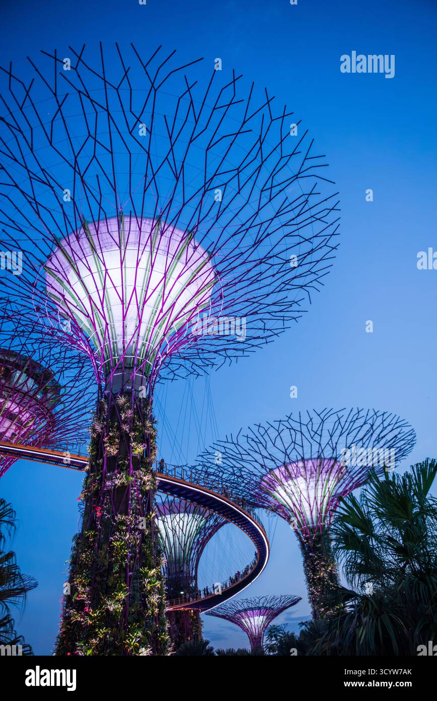 Singapur - 19. Oktober 2018: Massive Superbäume sind ein Höhepunkt der beliebten Touristenattraktion Garden by the Bay. Stockfoto