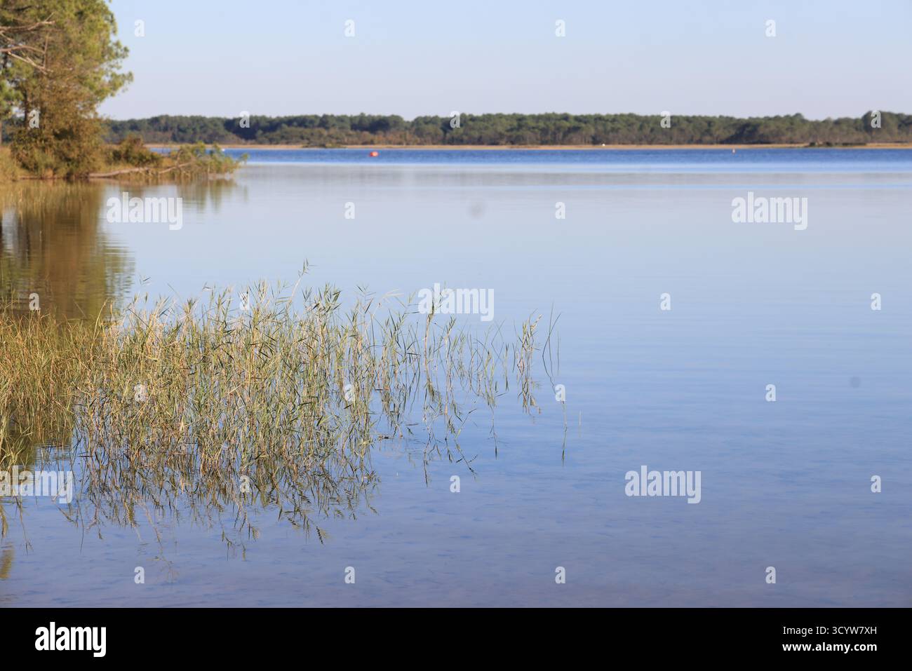 Lacanau Lake. Herbsttag am Ufer des Lacanau Lake in der Nähe des Atlantischen Ozeans in Gironde, Frankreich. Stockfoto