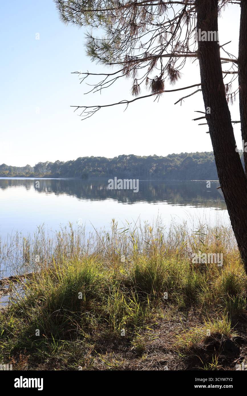 Lacanau Lake. Herbsttag am Ufer des Lacanau Lake in der Nähe des Atlantischen Ozeans in Gironde, Frankreich. Stockfoto