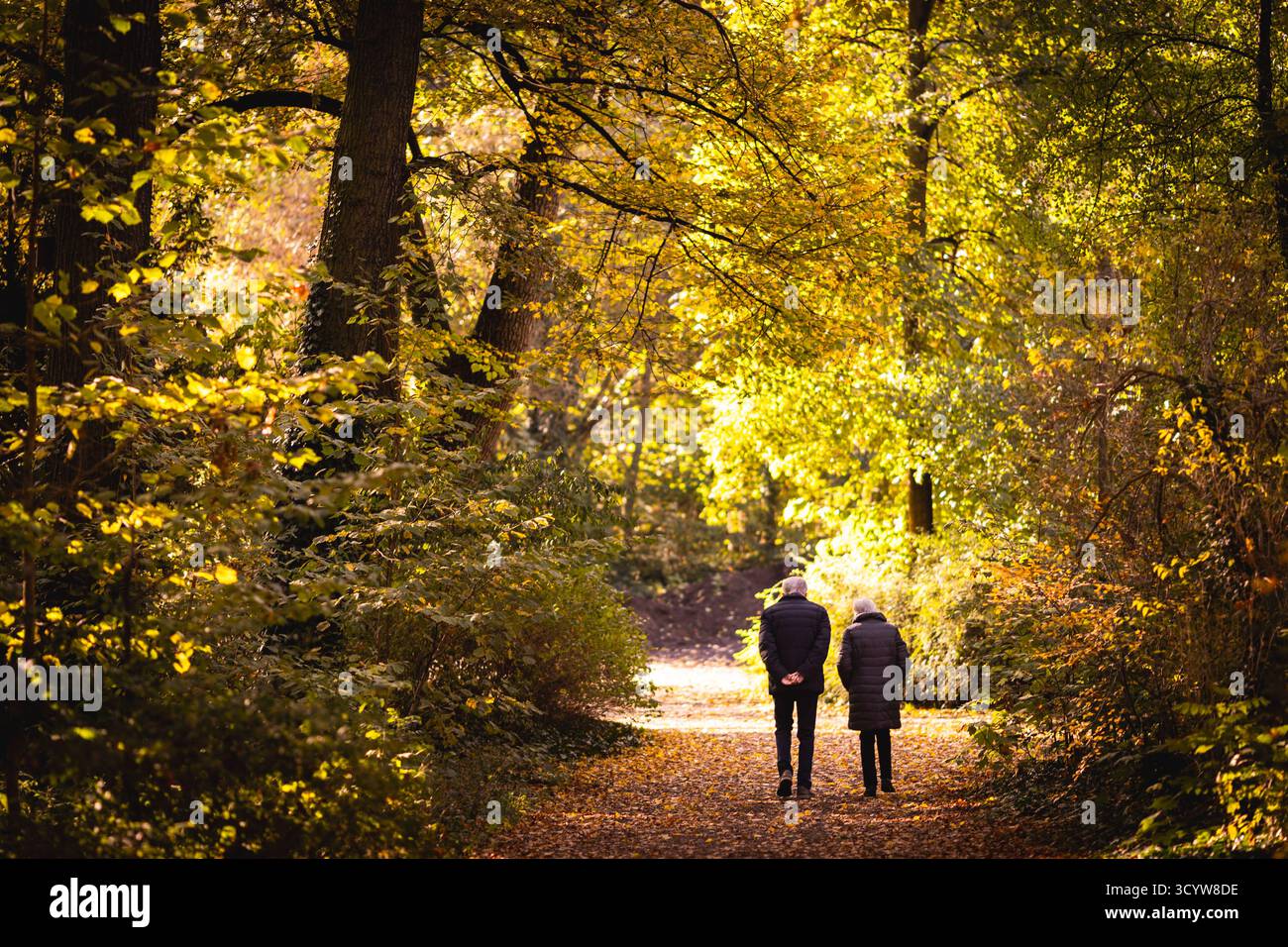 Berlin, Deutschland. Oktober 2025. Ein älterer Mann und eine Frau machen einen Spaziergang durch einen Park in der Morgensonne, fotografiert in Berlin, 20. Oktober 2025. Quelle: dpa/Alamy Live News Stockfoto
