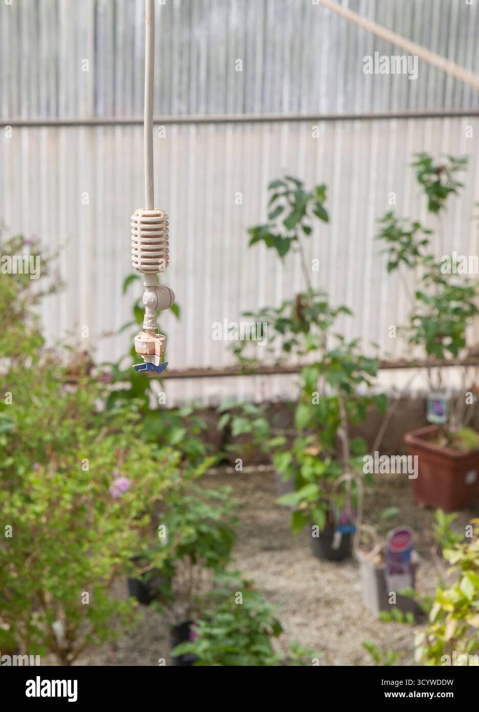 Luftvernebler-Bewässerungssystem. Gartengeräte für die Bewässerung in Innenräumen Stockfoto