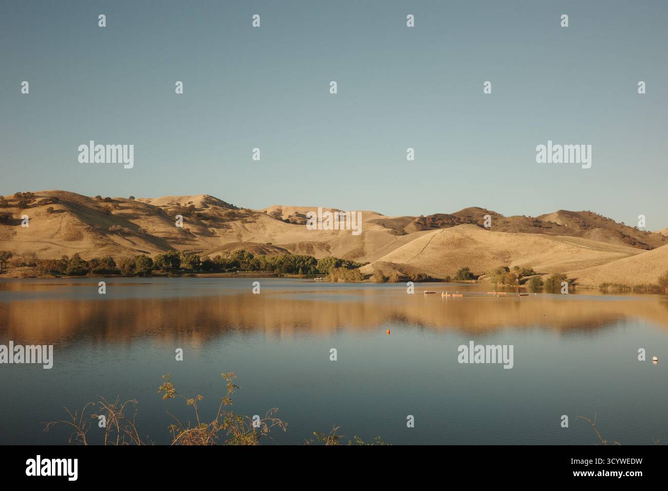 Die Golden California Hills spiegeln sich im ruhigen Wasser des Contra Loma Reservoir unter dem Licht des späten Nachmittags und fangen die Wärme und Stille des ein Stockfoto