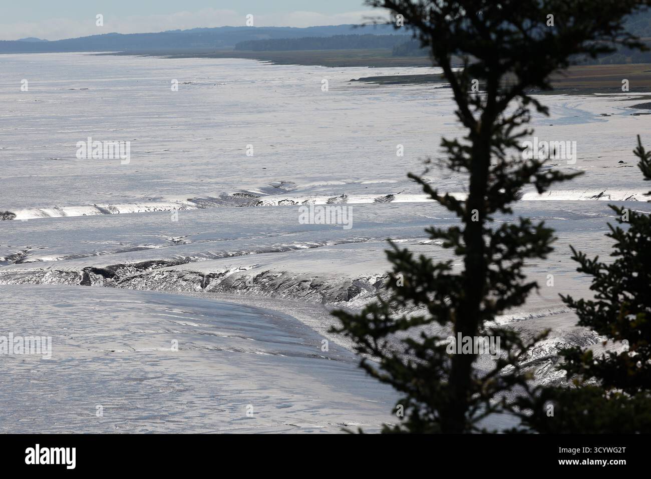 Malerischer Aussichtspunkt über die Bay of Fundy bei Low Tide, Hopewell Rocks Stockfoto