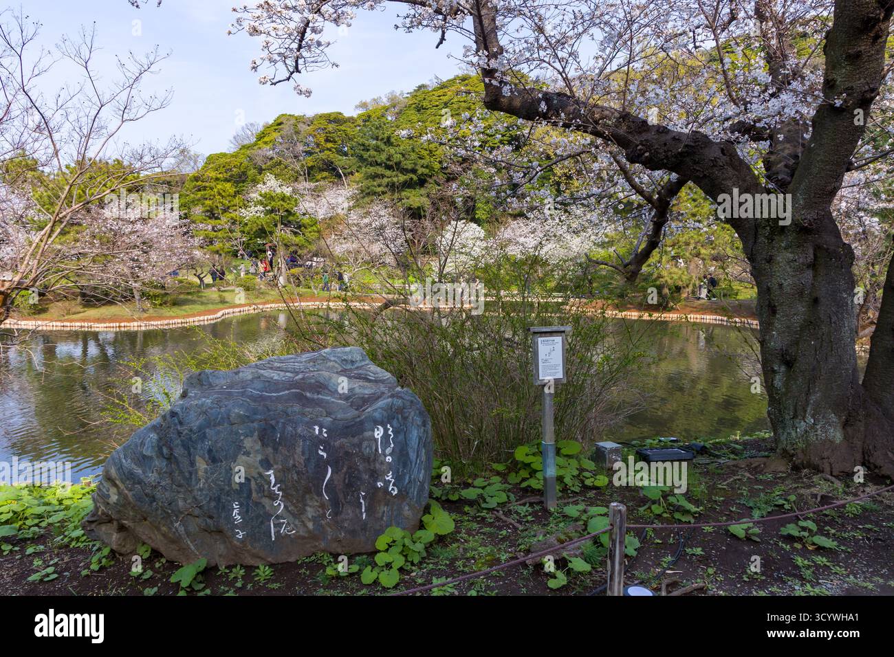 Malerischer Blick auf einen traditionellen japanischen Garten in Yokohama während der Sakura-Saison. Stockfoto