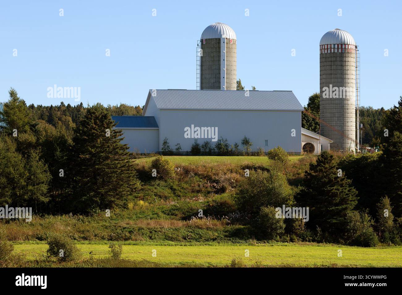 Ein Paar Silos und eine weiße Scheune stehen auf einem sonnendurchfluteten Hügel, umgeben von Bäumen und Ackerland im ländlichen Quebec. Stockfoto