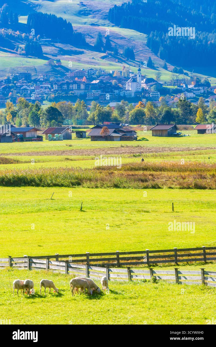 Lermoos: Dorf und Kirche Lermoos, Wiesen, Scheunen in der Tiroler Zugspitz Arena, Tirol, Tirol, Österreich Stockfoto