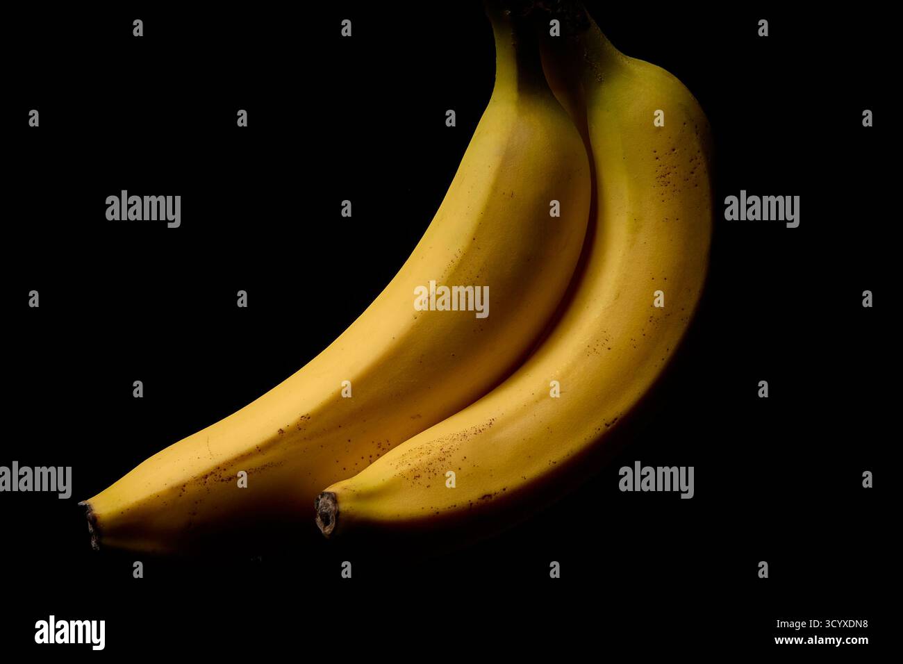 Minimalistisches Stillleben von gelben Bananen auf schwarzem Hintergrund. Studiofoto mit hochwertiger Beleuchtung, die Farbe und Form betont. Stockfoto