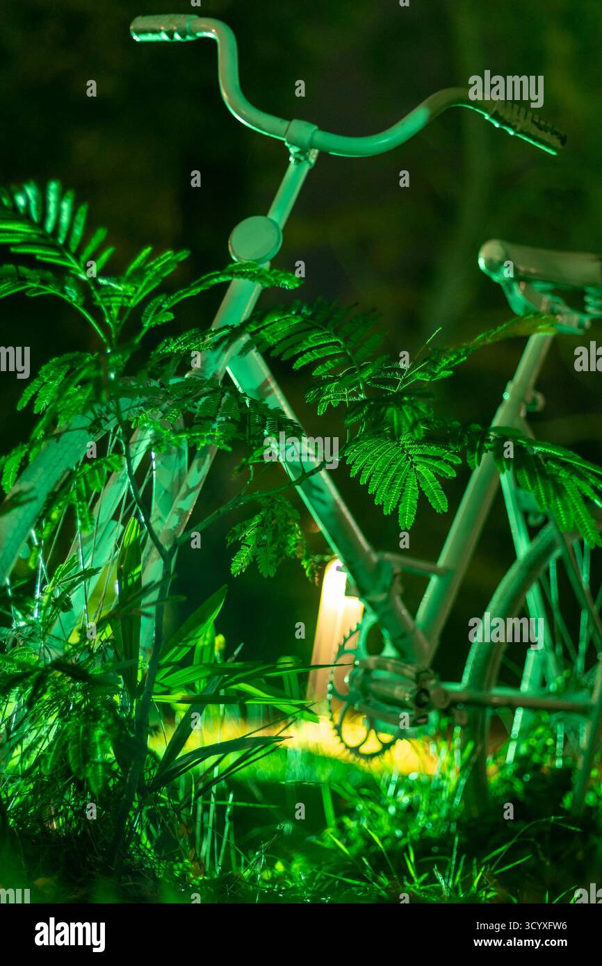Fahrrad in leuchtendem Gras. Vintage-Fahrrad steht in leuchtendem grünem Gras inmitten üppiger Vegetation bei Nacht. Stockfoto