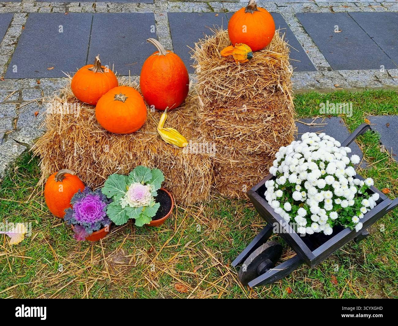 Ein malerisches Herbstarrangement für Halloween- oder Thanksgiving-Dekorationen. Stockfoto
