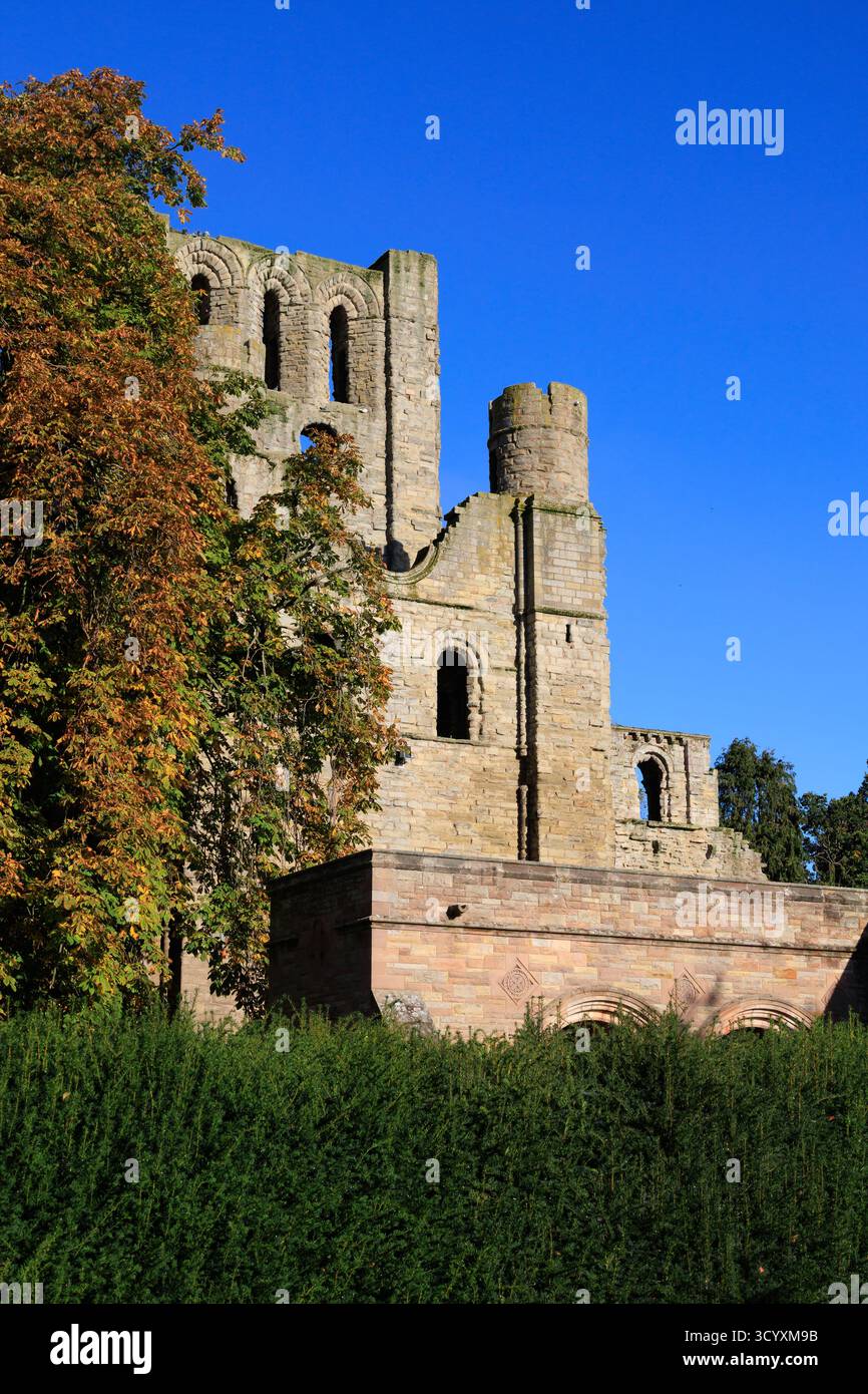 Die Ruinen von Kelso Abbey, Kelso, die schottischen Grenzen, Roxburgh, Schottland Stockfoto
